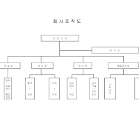 조직도 (회사)(1) 조직도 (회사)(1)